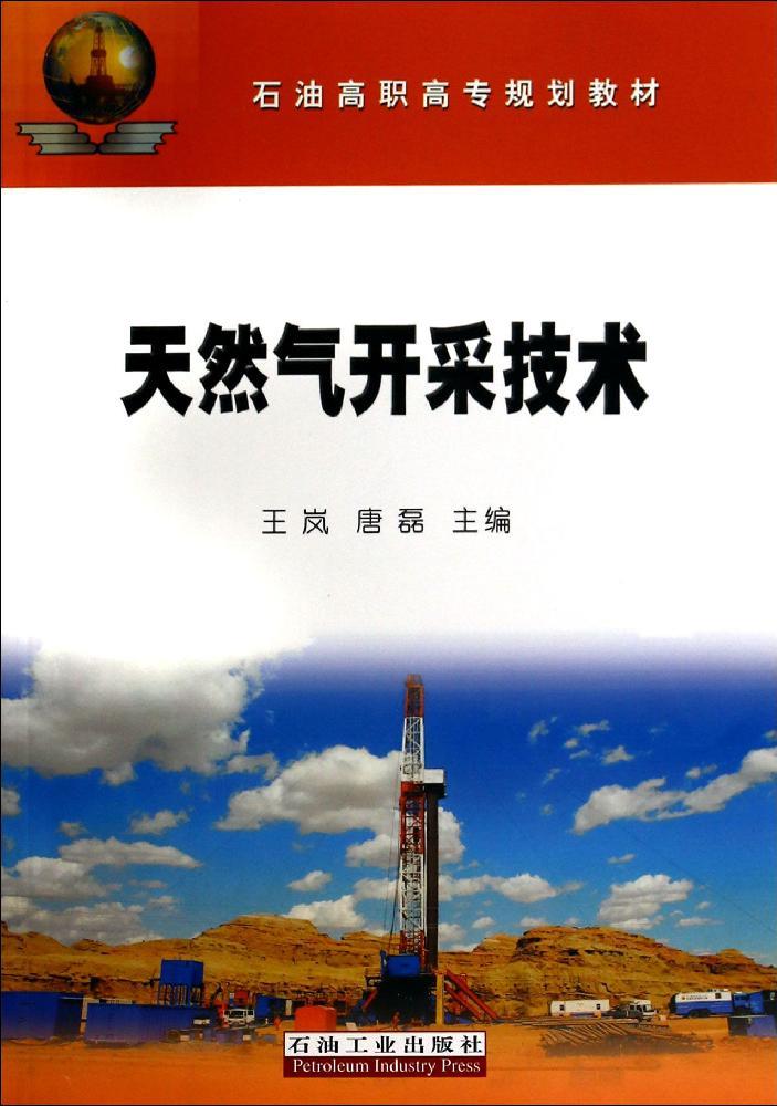 天然气开采技术与石油天然气技术 现状、挑战与未来展望
